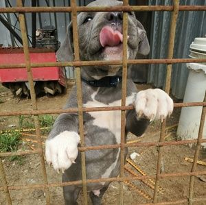 Meet your Posher, Darien